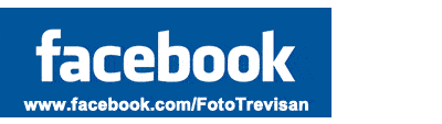 facebook trevisan